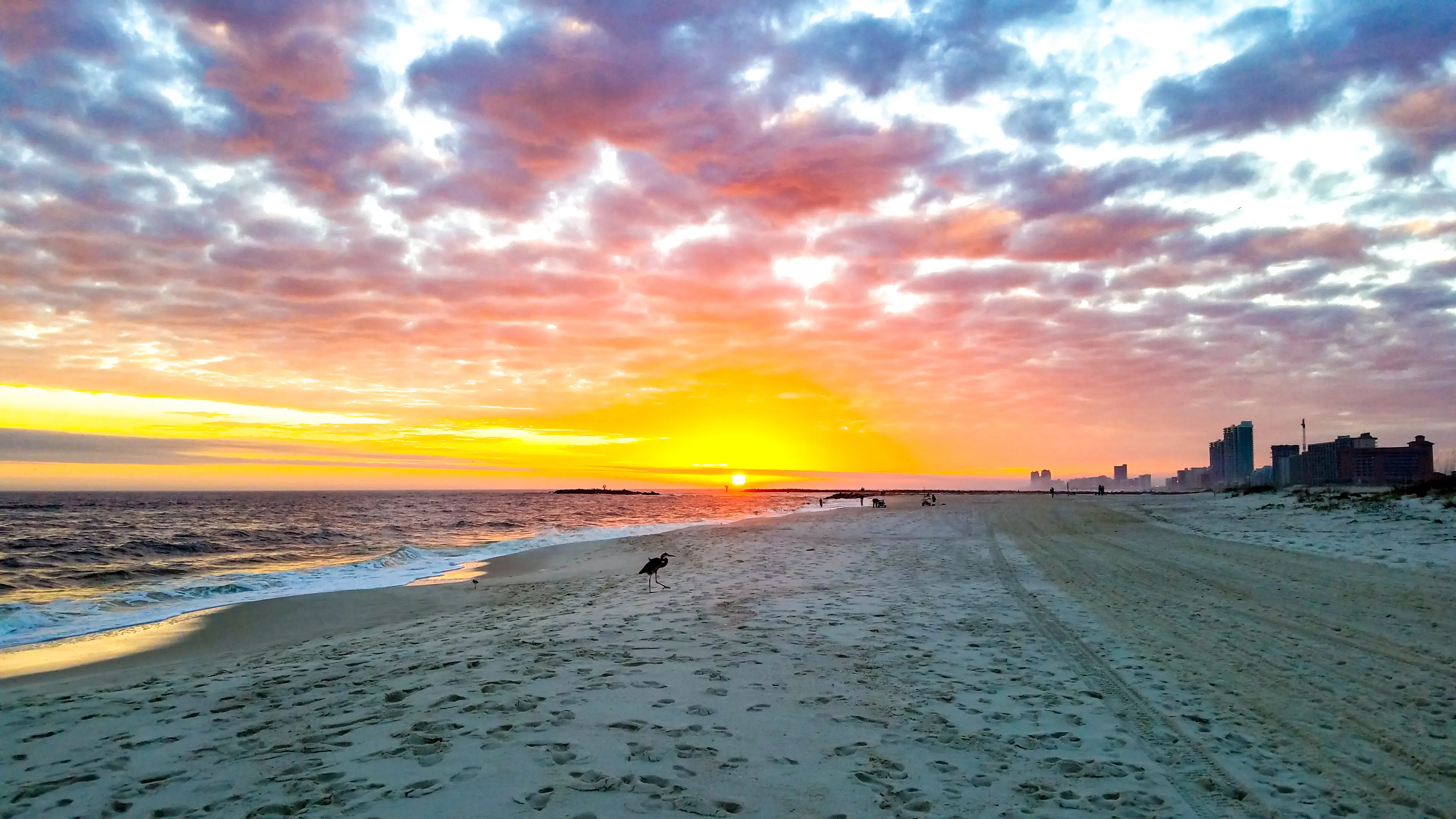 Alabama's Paradise