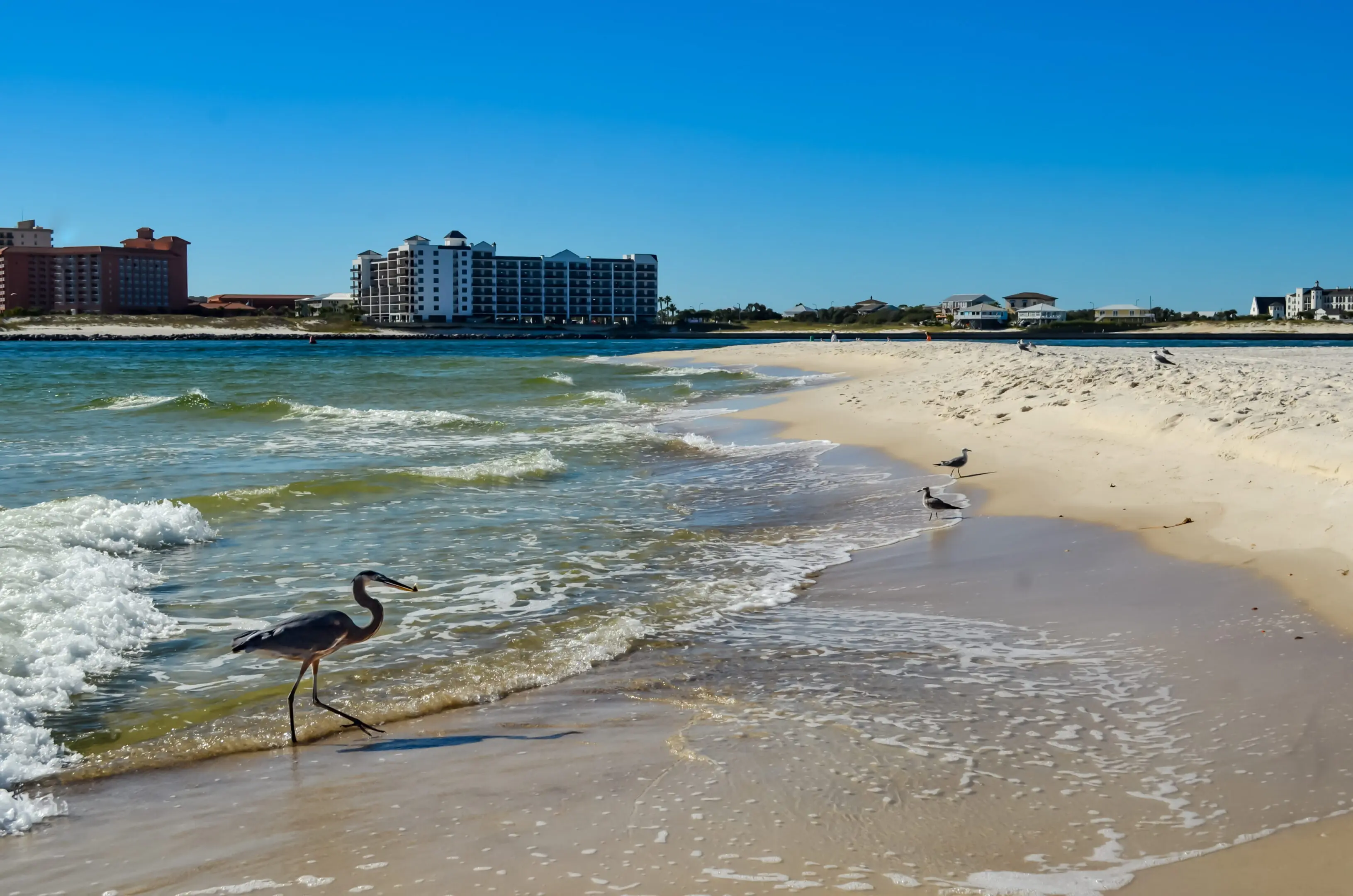 Alabama's Paradise